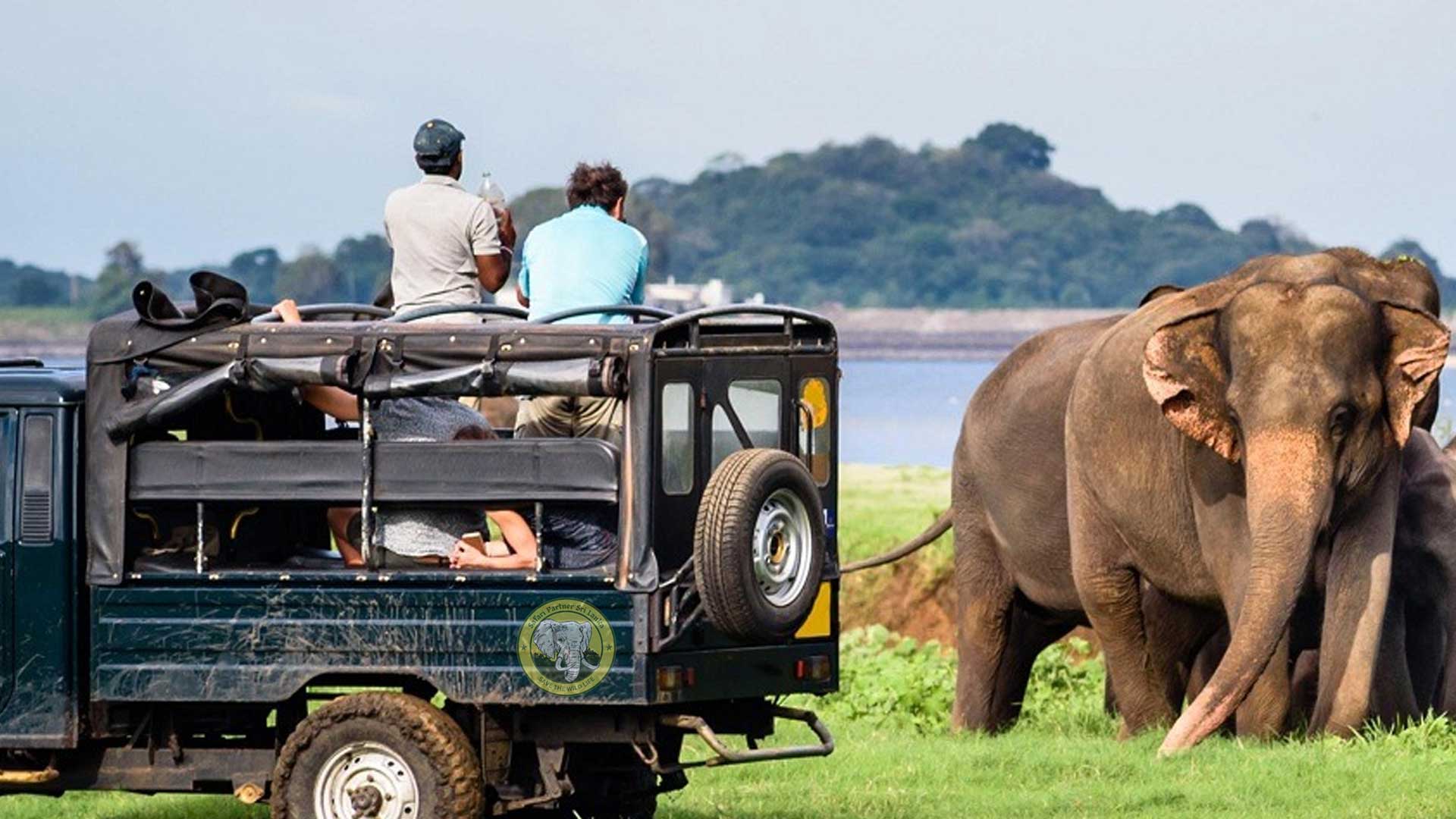 Safari Partner Sri Lanka .::. Tourist - Travel Agency