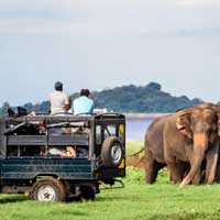 Safari Partner Sri Lanka .::. Tourist - Travel Agency